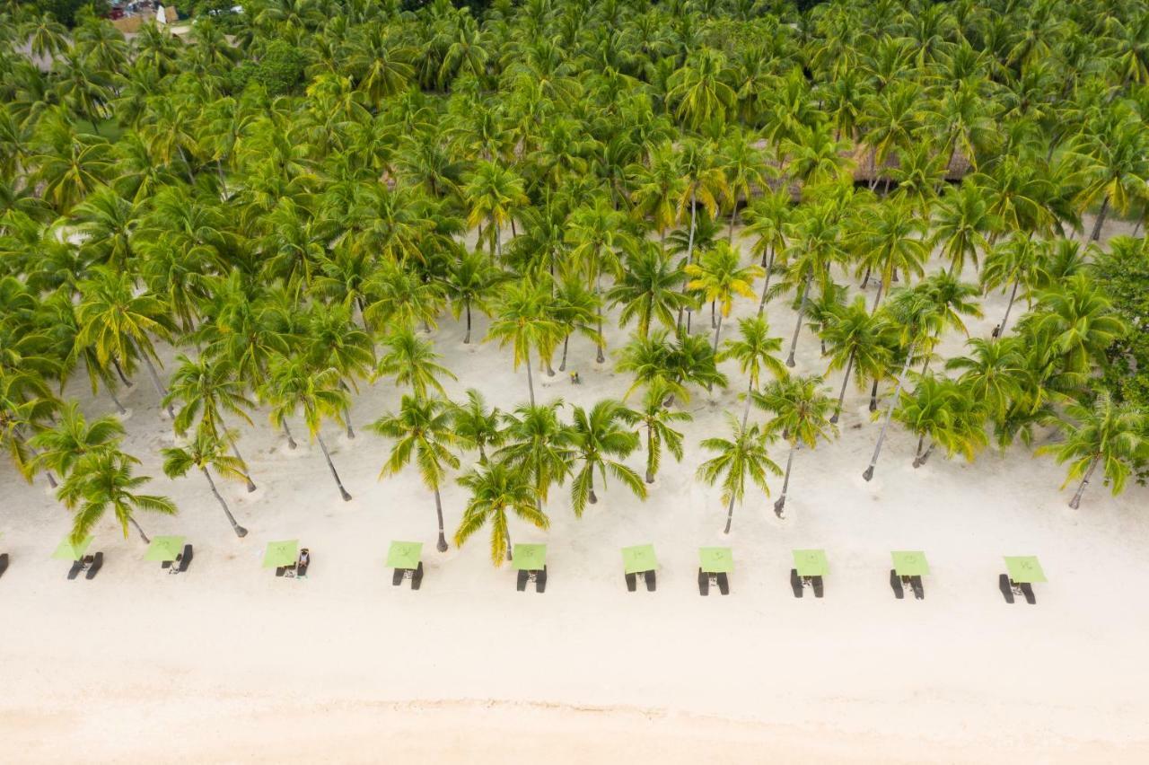 Oceanica Resort Panglao, Bohol Екстер'єр фото Palm trees on the beach