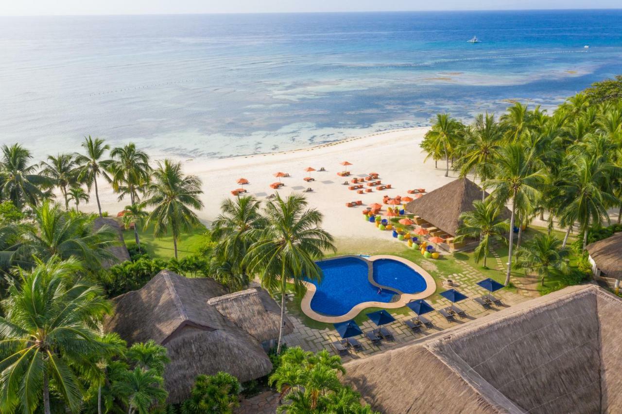 Oceanica Resort Panglao, Bohol Екстер'єр фото Aerial view of the beach at the resort