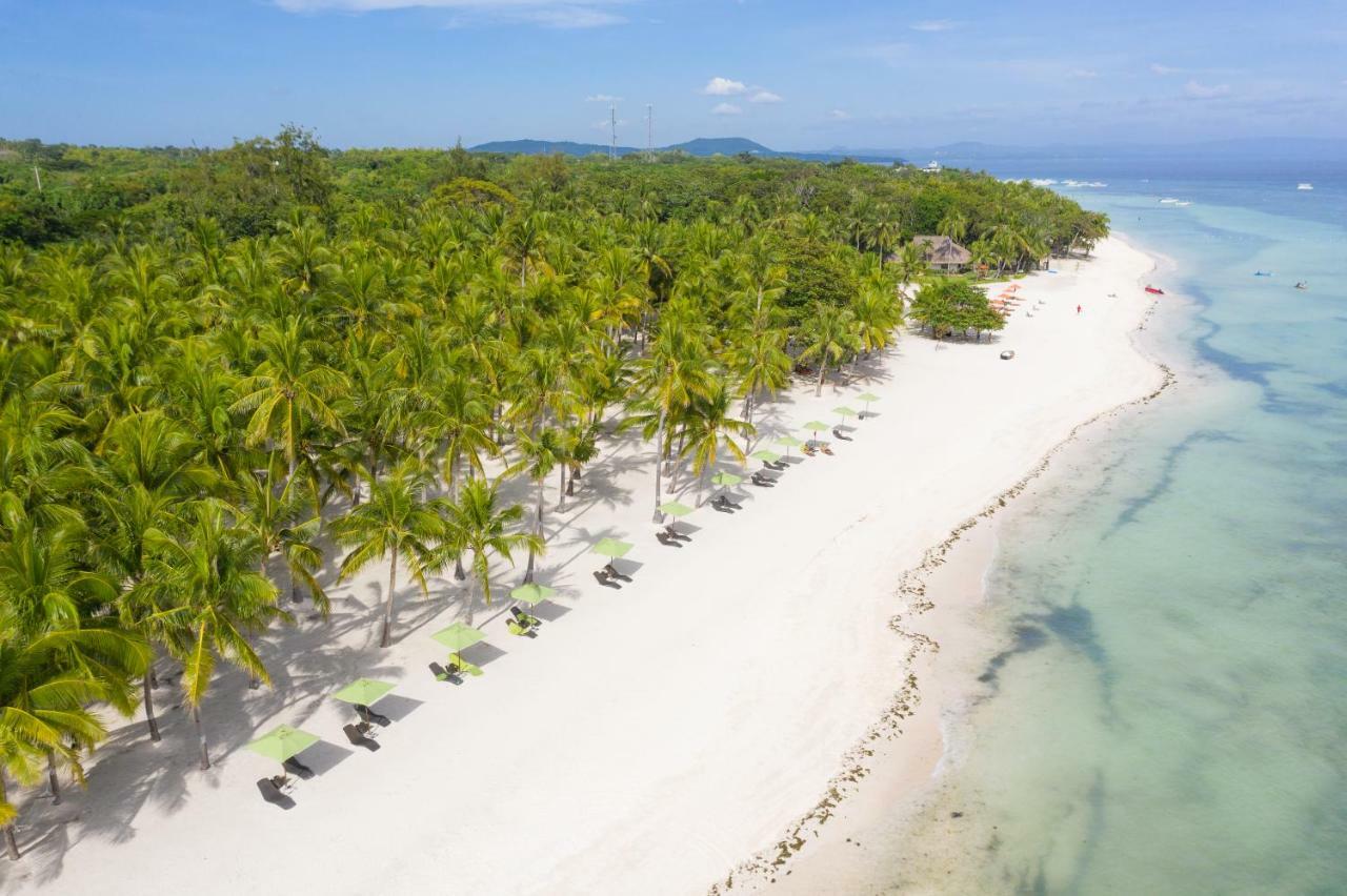 Oceanica Resort Panglao, Bohol Екстер'єр фото Aerial view of the beach